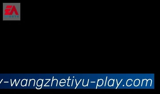 王者体育直播合作伙伴